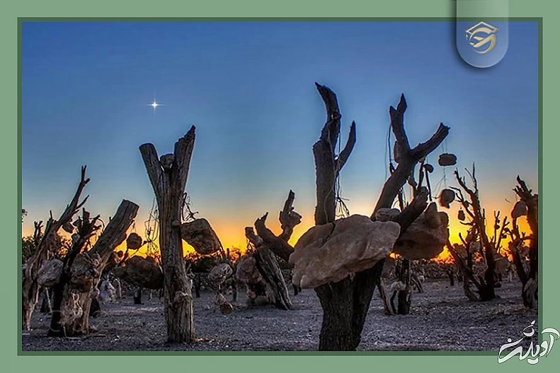 رازهایی از مخوفترین مکانهای ایران که سفر به آنها دل و جرات میخواهد؛ از جهنم دره تا تالاب مرموز ارواح + تصاویر رازهایی از مخوفترین مکانهای ایران که سفر به آنها دل و جرات میخواهد؛ از جهنم دره تا تالاب مرموز ارواح + تصاویر